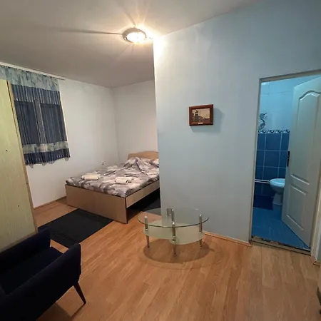 Kostic Apartment