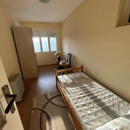 Kuca Kostic アパート