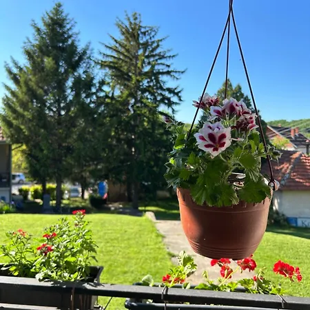 Kuca Kostic アパート Gornja Toponica